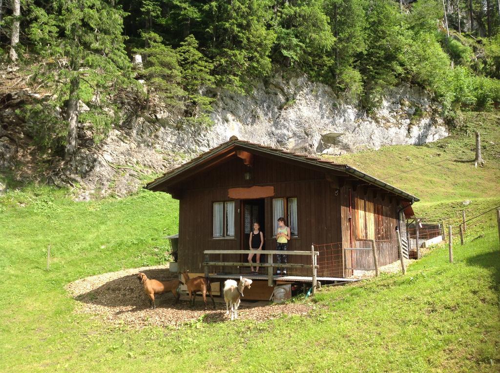 Panorama Hotel Wagenkehr Innertkirchen Dış mekan fotoğraf