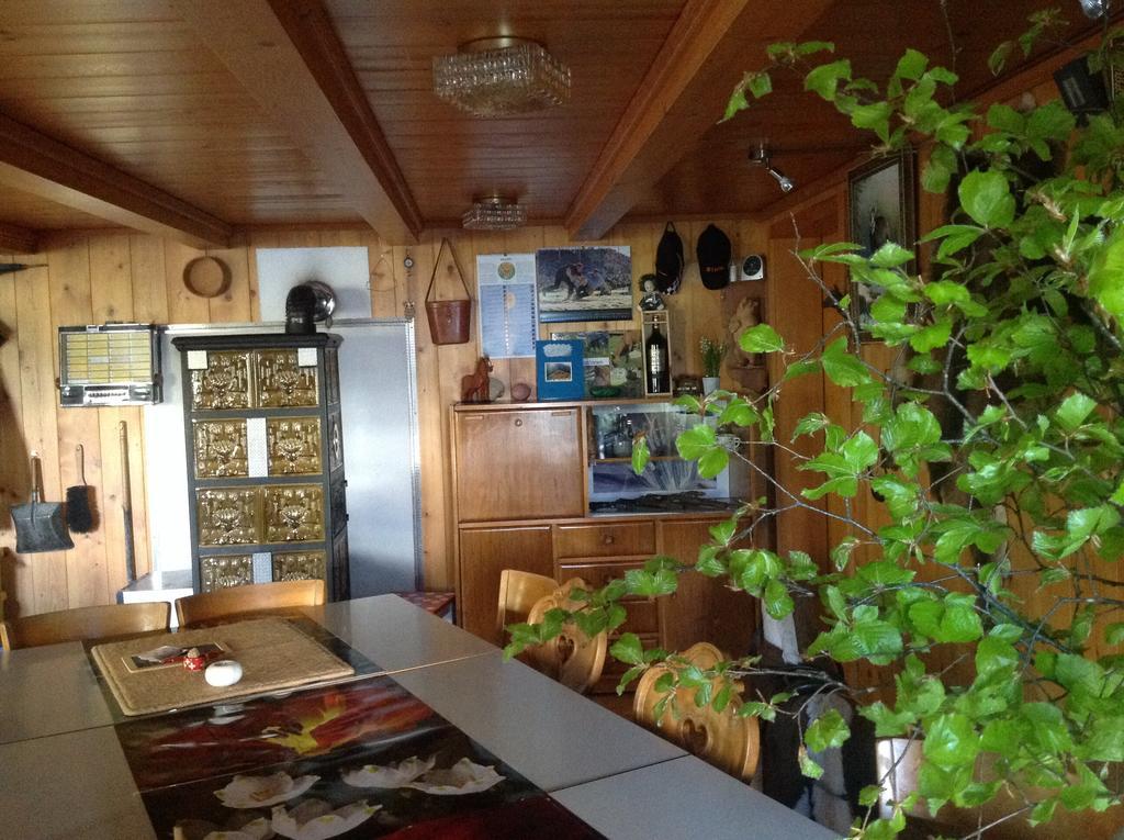 Panorama Hotel Wagenkehr Innertkirchen Dış mekan fotoğraf